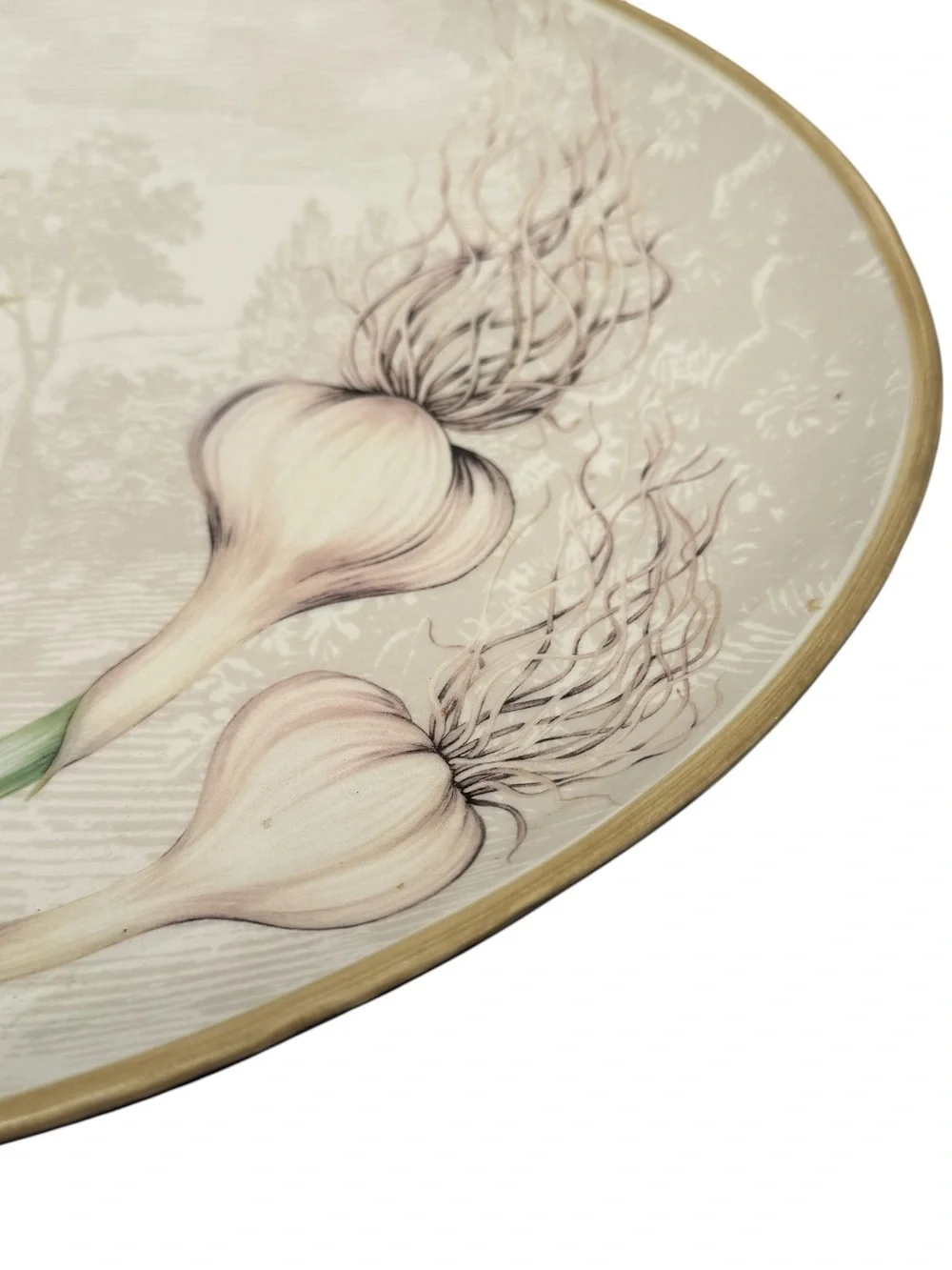 Williams Sonoma Garlic Serving Platter Portugal Oval Ceramic Farmhouse Kitchen